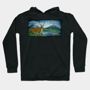 welcome to bright falls, the home of the annual deerfest Hoodie